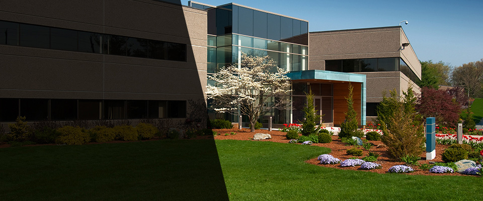 Carlyle Landscapers