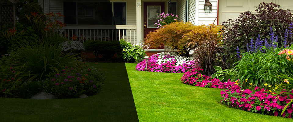 Carlyle Landscapers