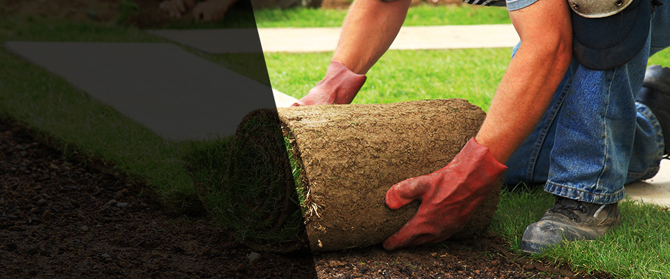 Carlyle Landscapers